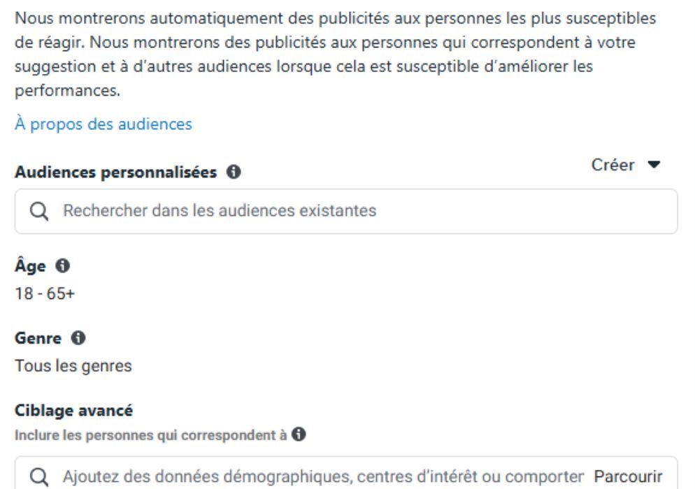 critères d'audience facebook ads